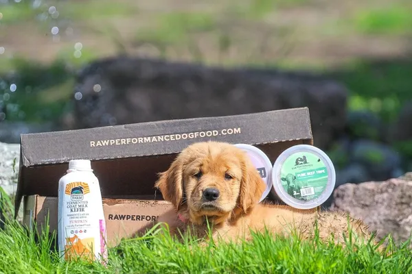 Raw Performance Dog Food