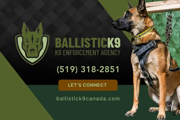 Ballistick9Canada