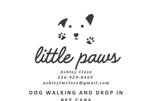 Little Paws Pet Care
