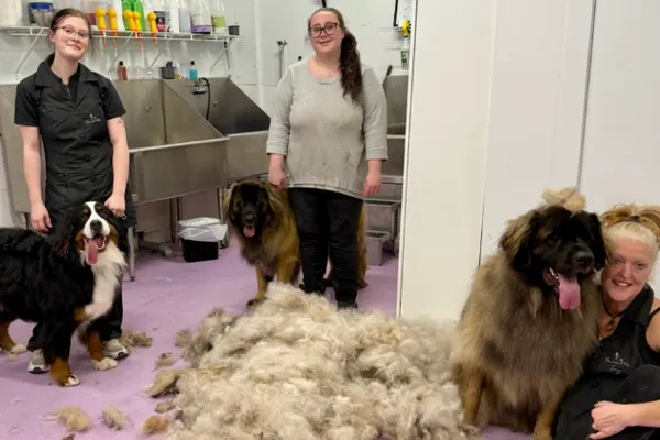 PawLished Pets Spa & Clubhouse