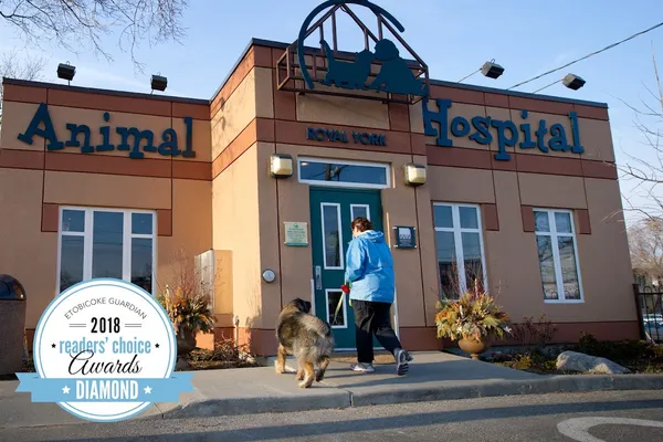Royal York Animal Hospital