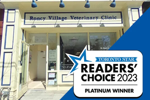 Roncy Village Veterinary Clinic