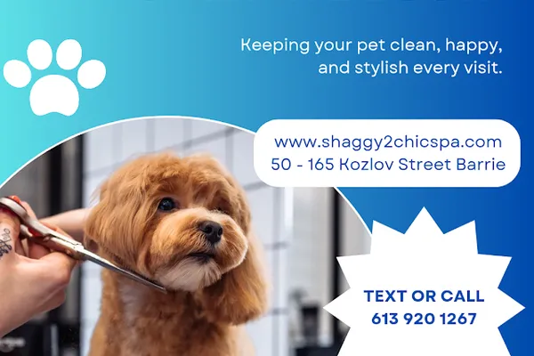 Shaggy 2 Chic Spa