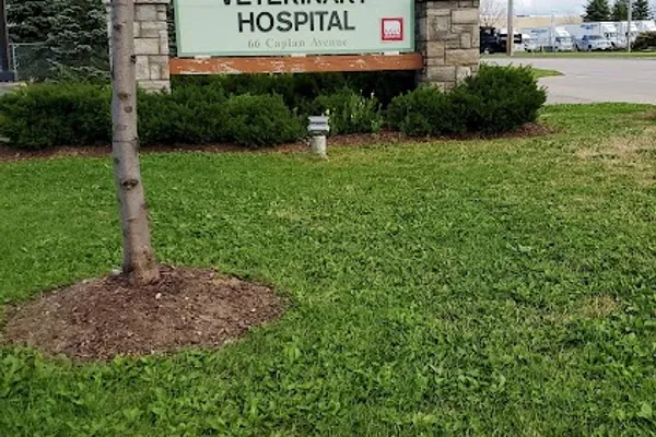 Allandale Veterinary Hospital