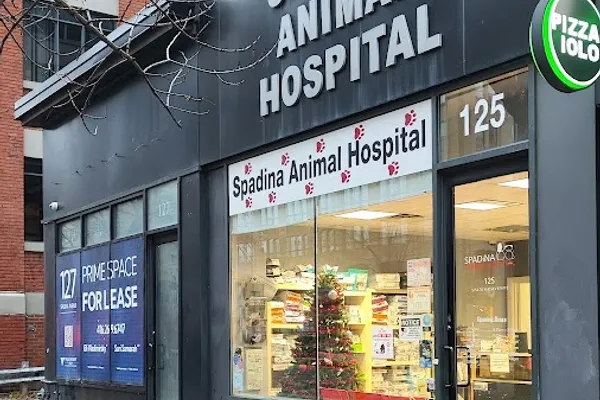 Spadina Animal Hospital