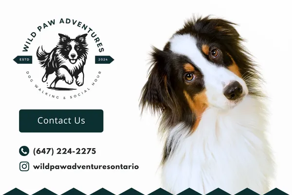 Wild Paw Adventures