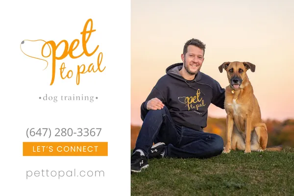 Pet To Pal Dog Training