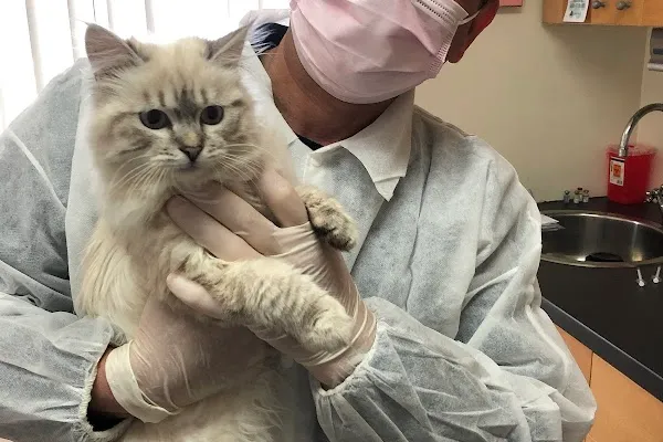 Toronto North Animal Hospital