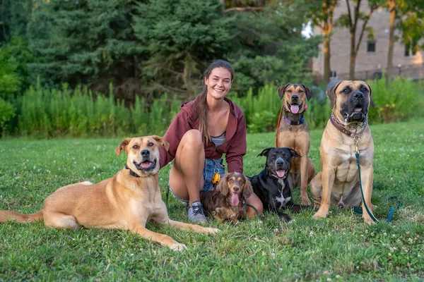 Balanced Paw Dog Training