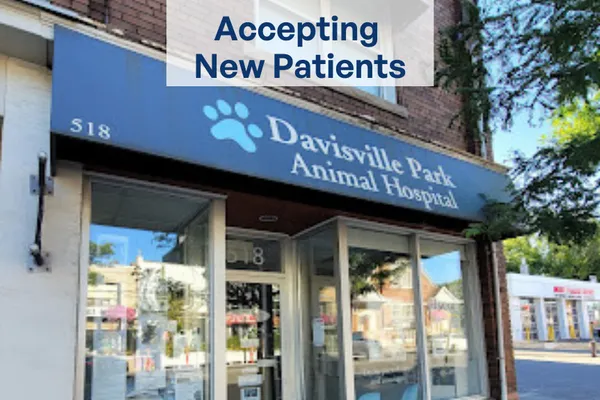 Davisville Park Animal Hospital
