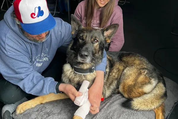 Your Canine Specialist- Chris Michalak