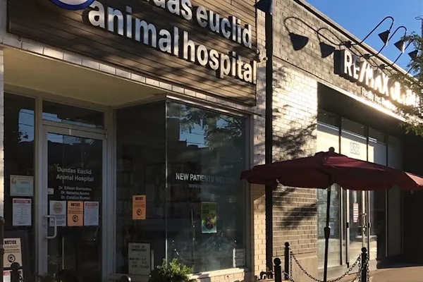 Dundas Euclid Animal Hospital