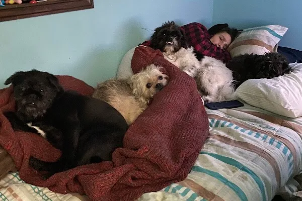 Pet Valu