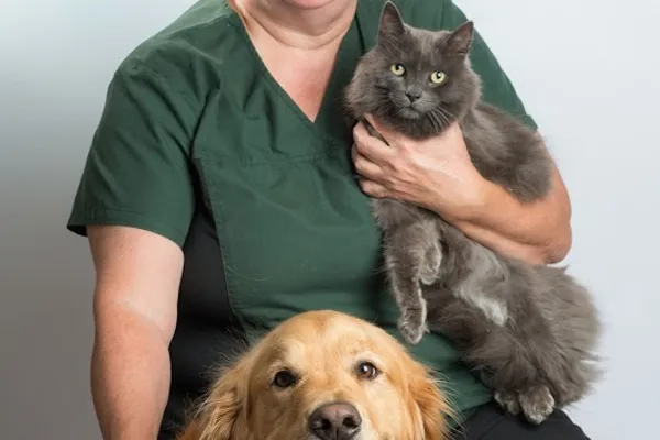 Brantford Veterinary Clinic
