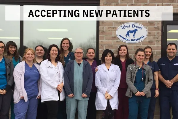 West Brant Animal Hospital