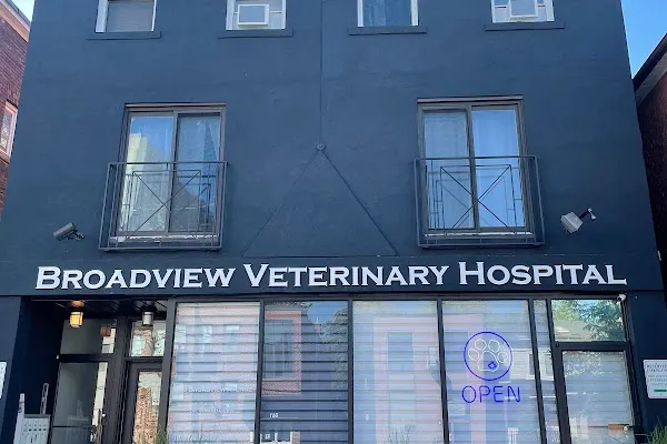 Broadview Veterinary Hospital