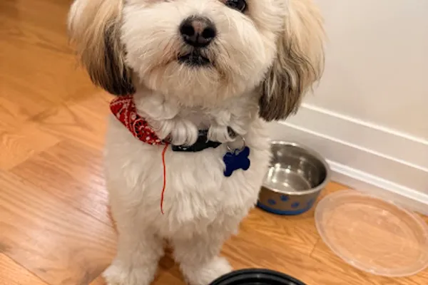Pawlington