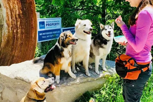 Go Fetch - In Home Dog Boarding