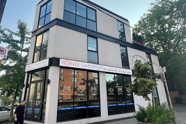 Yonge-Davenport Pet Hospital