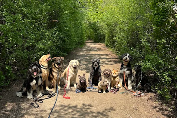 Mutt Strutters