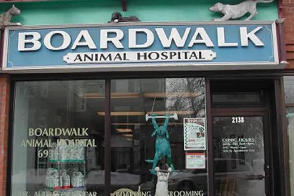 Boardwalk Animal Hospital - In The Beaches