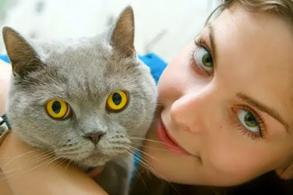 Islington Village Animal Hospital