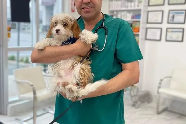Lakeshore Woods Animal Hospital