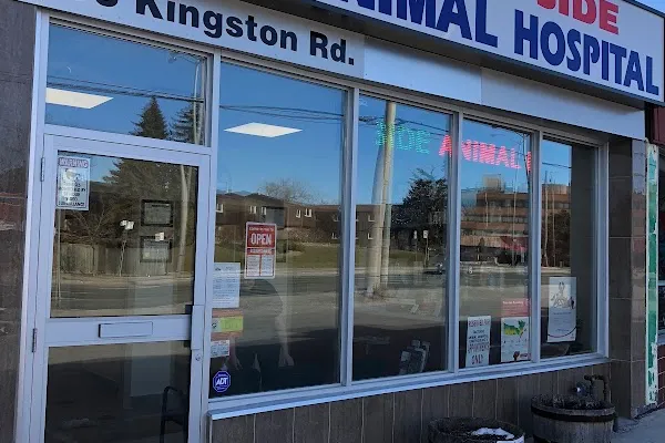 East Side Animal Hospital, affordable Vet Clinic in Scarborough, Toronto