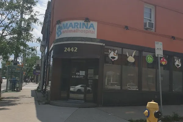 Marina Animal Hospital