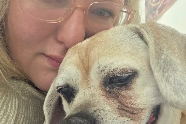 Donlands Animal Hospital