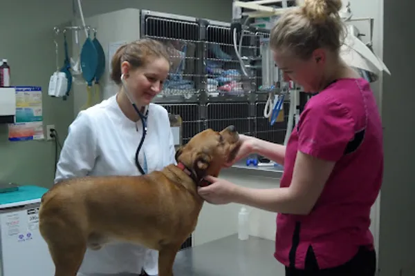 Derrydale Animal Hospital