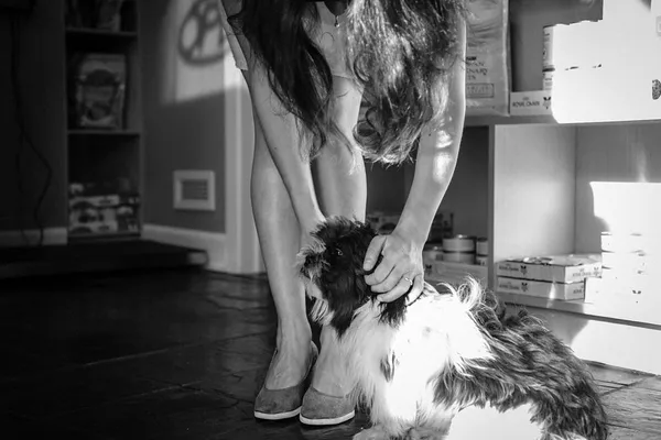 Beaches-Fallingbrook Veterinary Clinic