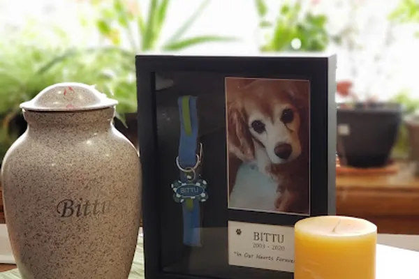 Bitu's Pet Cremation Services