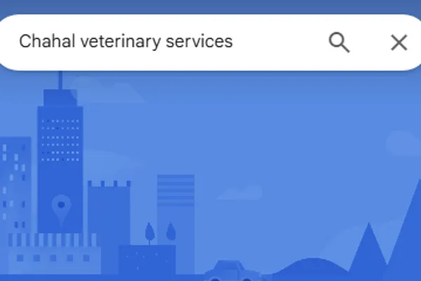 Chahal veterinary services