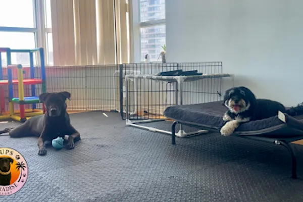 Pups Paradise Resort