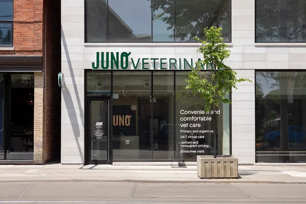 Juno Veterinary Leslieville