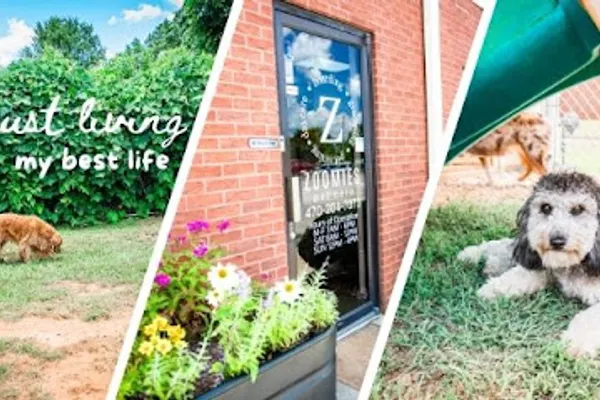 Zoomies Pet Care