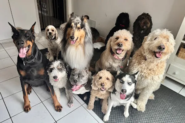 PAWSitively Happy Pet Services