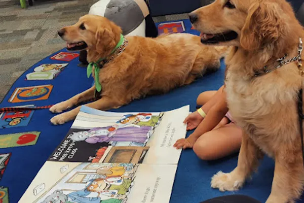 Therapy Tails Ontario