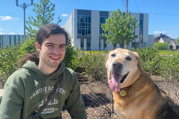 Buddy Boy Dog Training