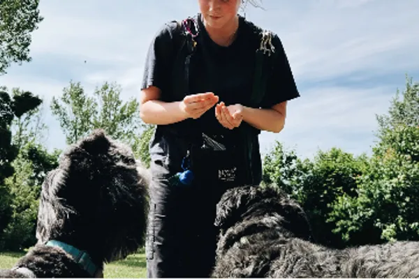 Head Over Paws Dog Training