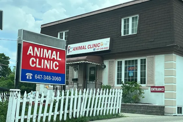 Church Yonge Animal Clinic