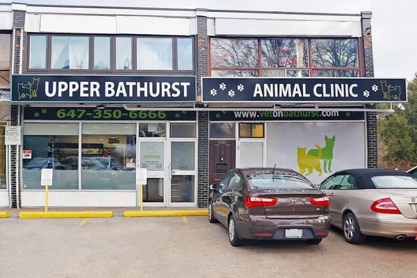 Upper Bathurst Animal Clinic