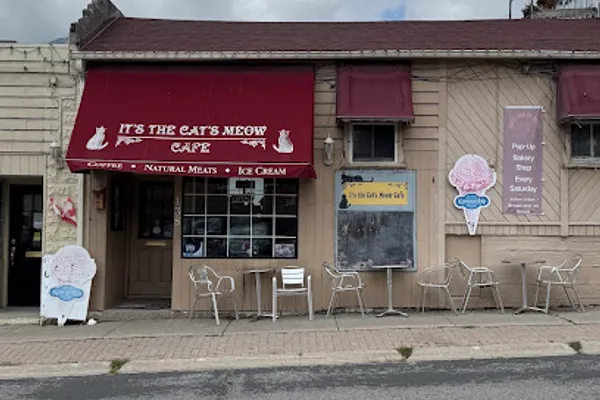 It's The Cat's Meow Cafe