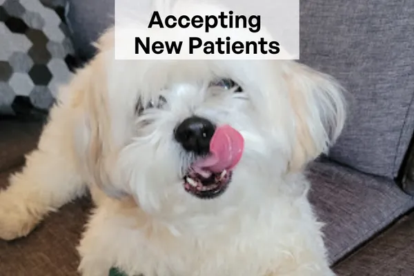 Etobicoke Veterinary Hospital