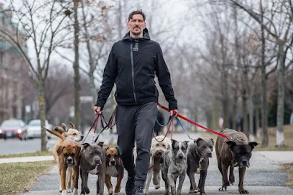 The Dog Dude