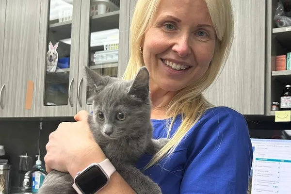 Liberty Village Animal Hospital