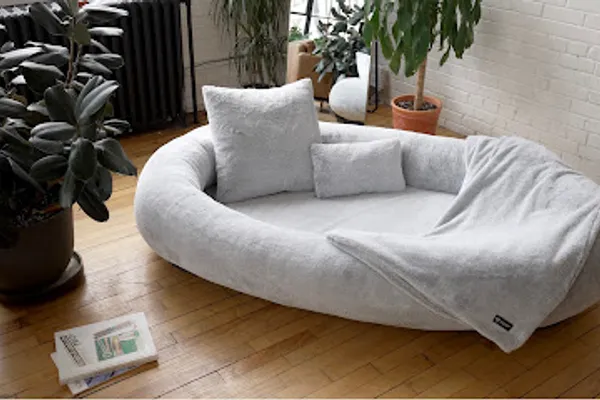 PEPPY BUDDIES - The Ultimate Canadian Community for Pet Style and Trends
