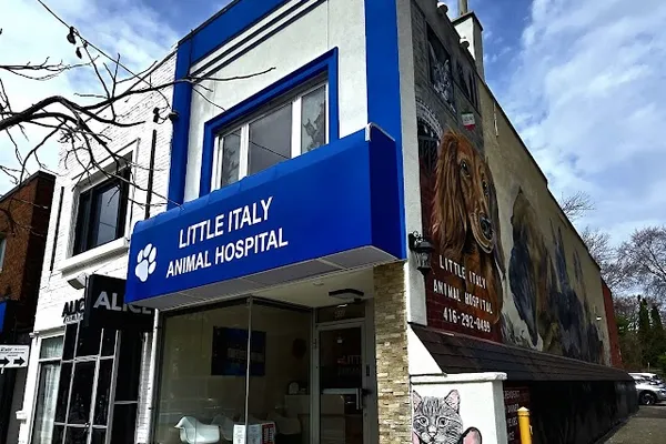 Little Italy Animal Hospital