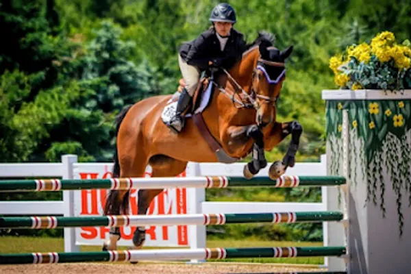 Lake House Stables